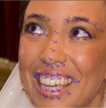 Пример 2 разметки ключевых точек на изображении лица алгоритмом dlib