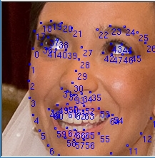 Пример 2 разметки ключевых точек на изображении лица алгоритмом MF2